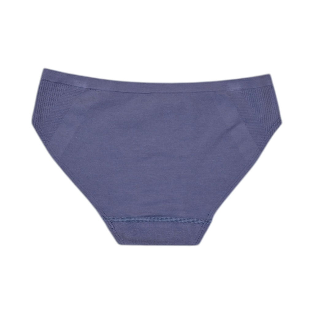 Smartwool Women's Intraknit Bikini Boxed Underwear