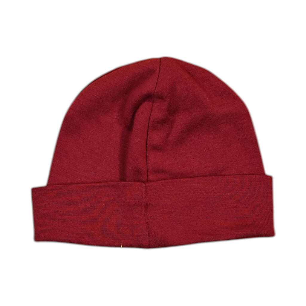 Smartwool Thermal Merino Reversible Cuffed Beanie