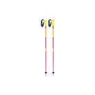 LEKI SWTCH Ski Poles - FERAL