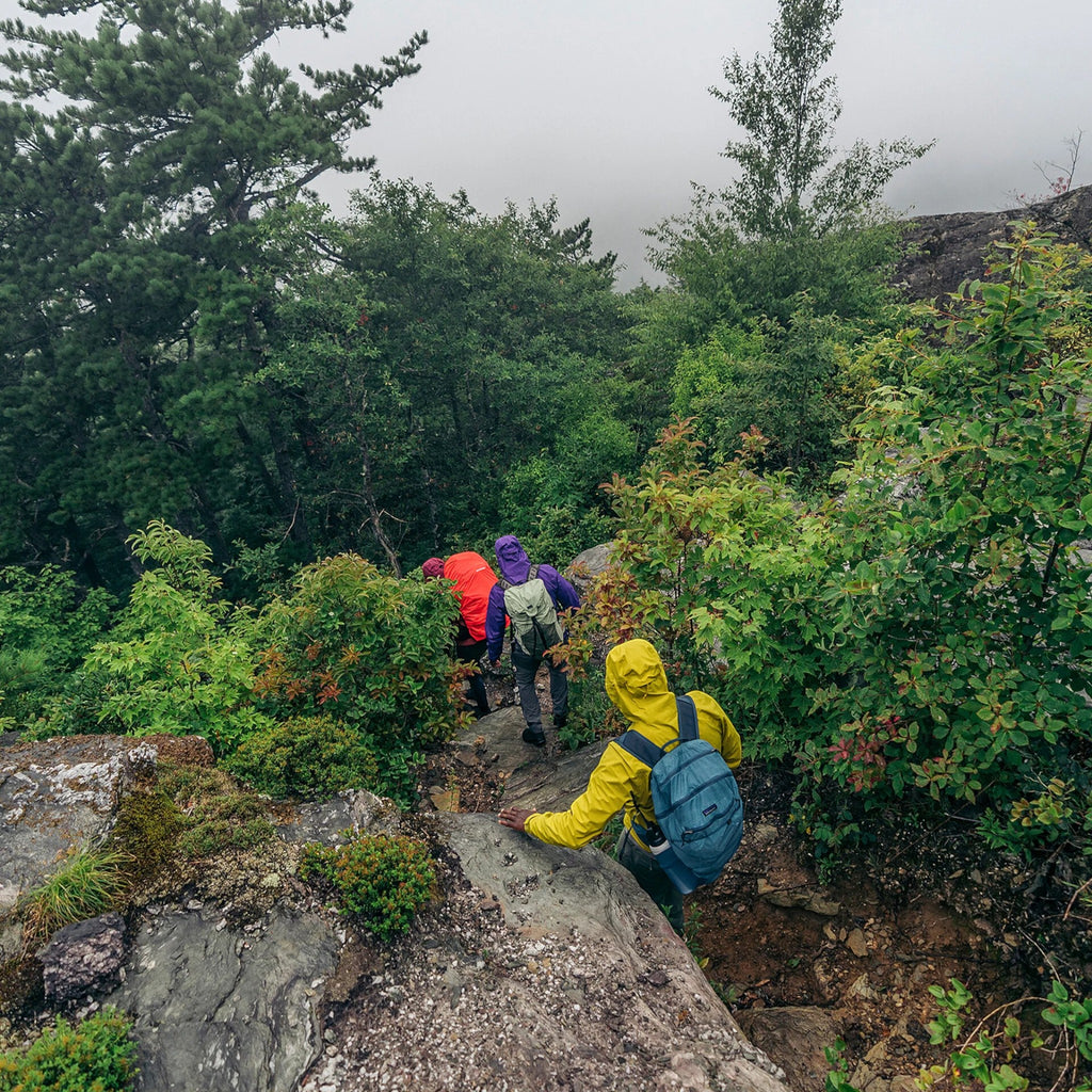 Patagonia Women's Torrentshell 3L Rain Jacket - FERAL