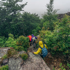 Patagonia Women's Torrentshell 3L Rain Jacket - FERAL