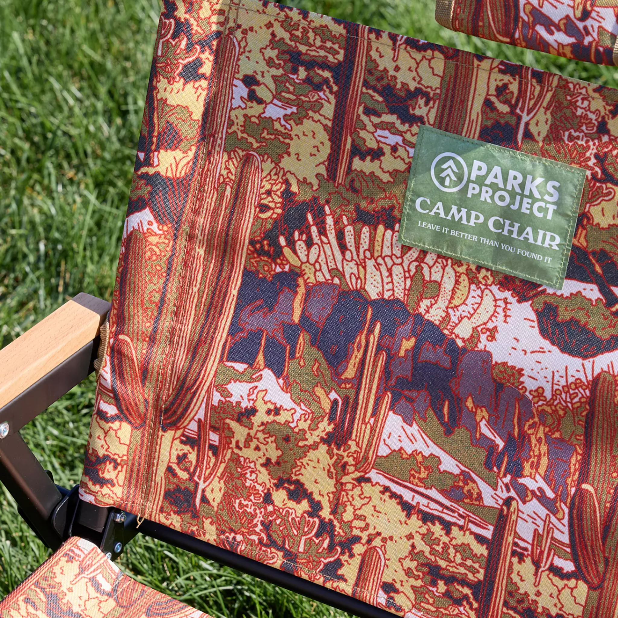 Parks Project Saguaro Cacti Fold Up Chair - FERAL