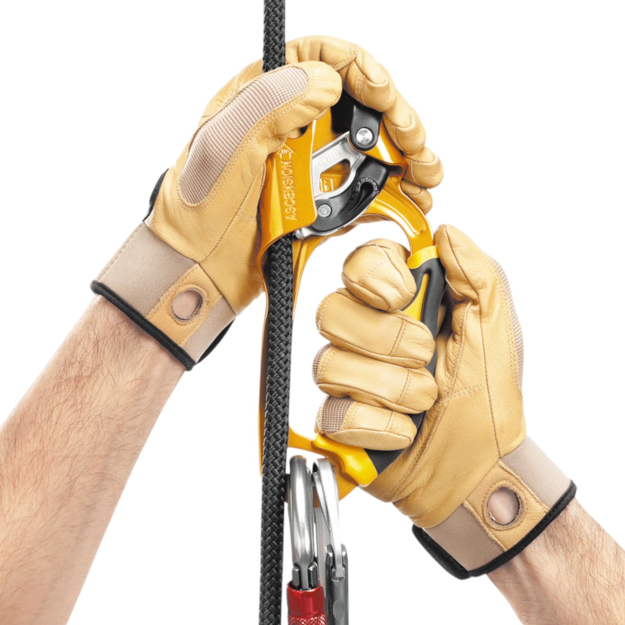 Petzl Ascension Right Handed Ascender - FERAL