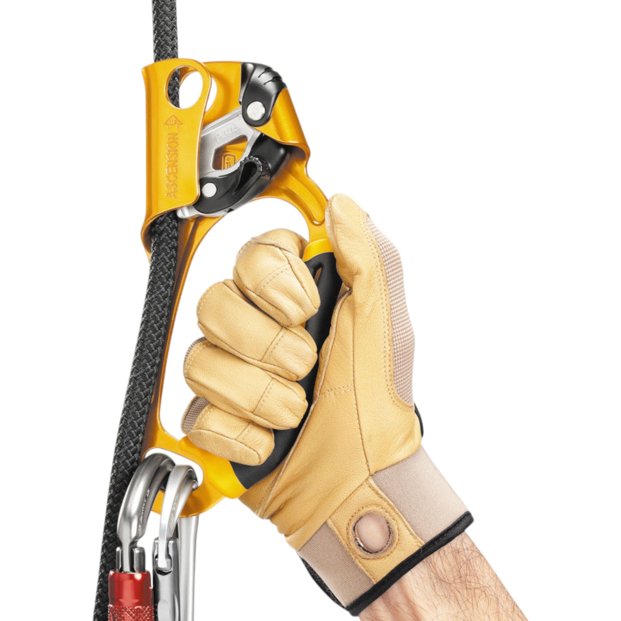 Petzl Ascension Right Handed Ascender - FERAL