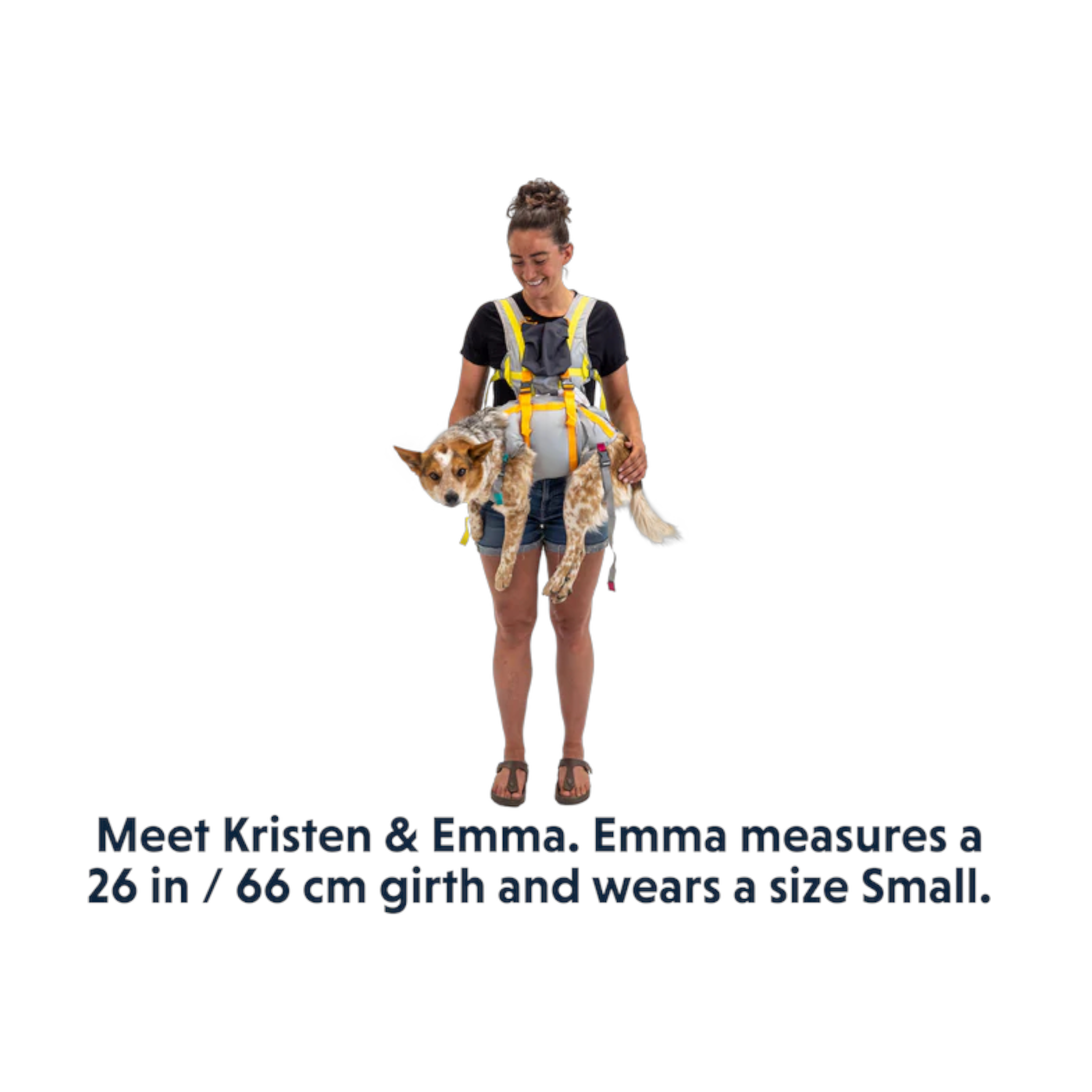 Ruffwear BackTrak Dog Evacuation Kit - FERAL