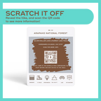 Reach International Outfitters Colorado Hiking Bucket List Guide Cards - FERAL