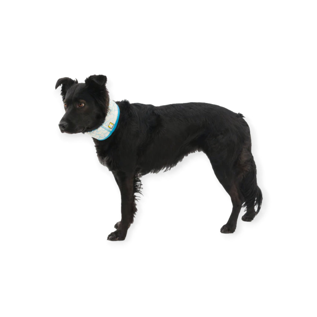 Ruffwear Swamp Cooler Cooling Dog Neck Gaiter - FERAL