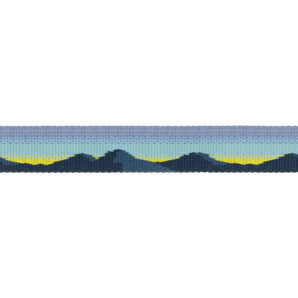 Ruffwear Crag Reflective Dog Collar - FERAL