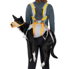 Ruffwear BackTrak Dog Evacuation Kit - FERAL