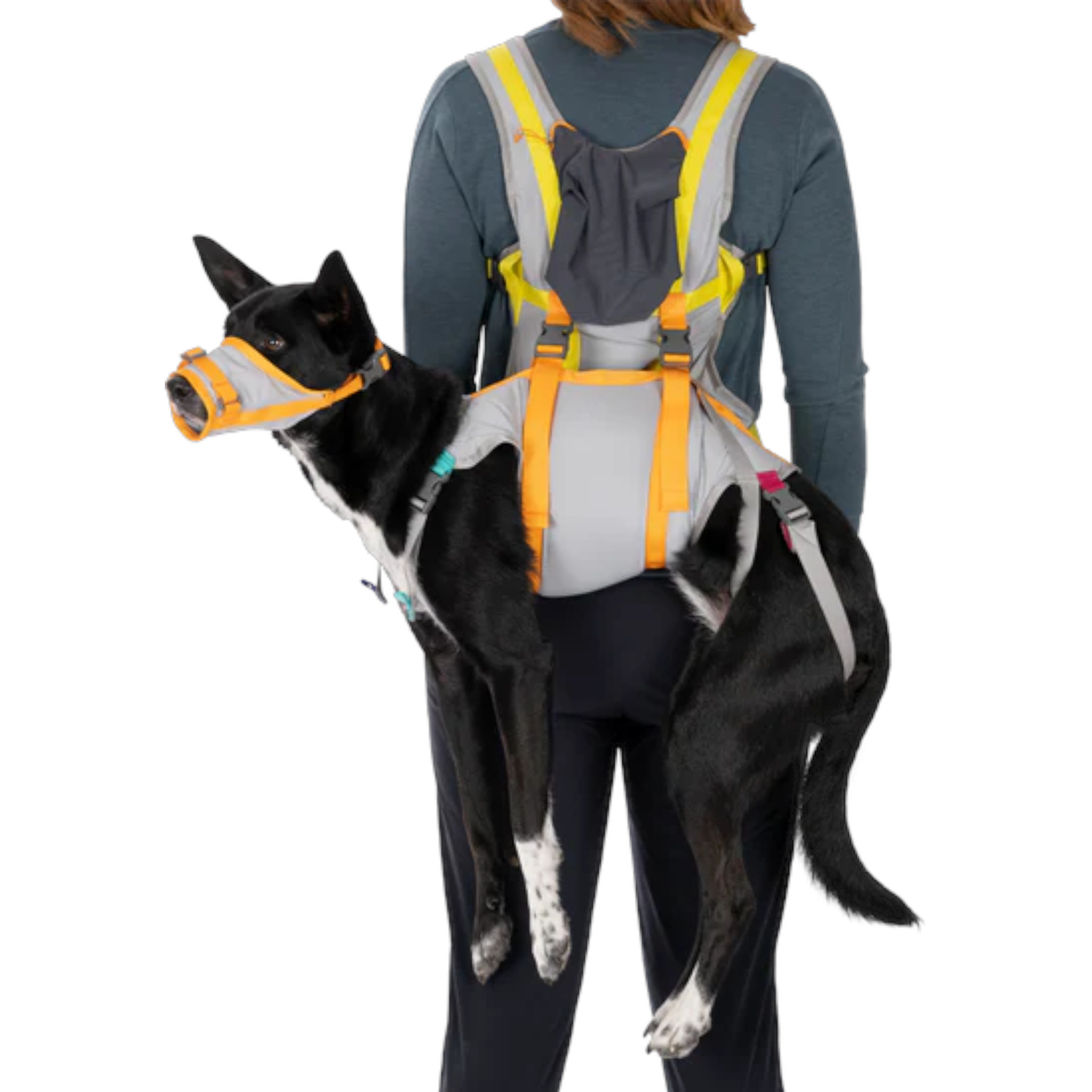 Ruffwear BackTrak Dog Evacuation Kit - FERAL