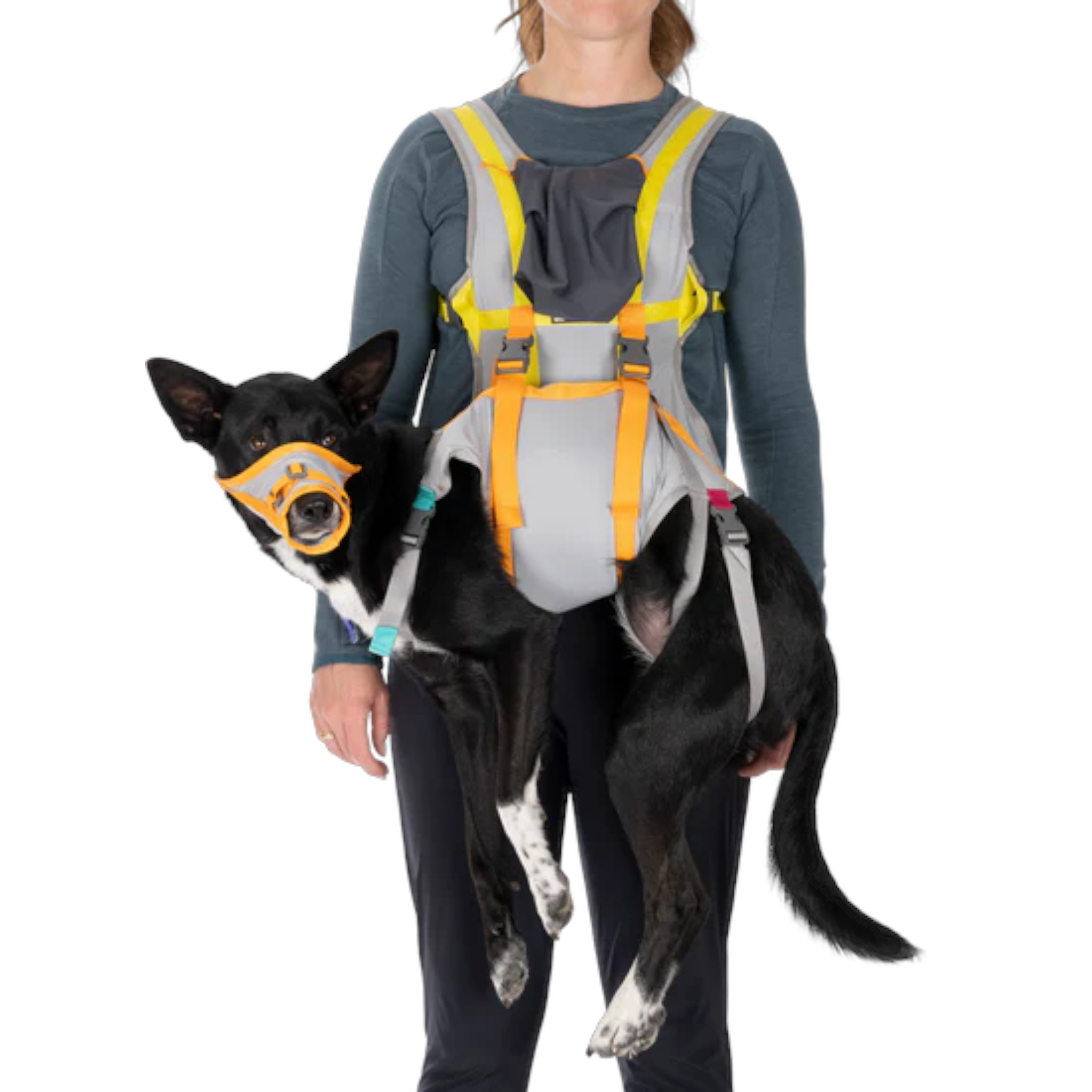 Ruffwear BackTrak Dog Evacuation Kit - FERAL