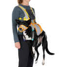 Ruffwear BackTrak Dog Evacuation Kit - FERAL