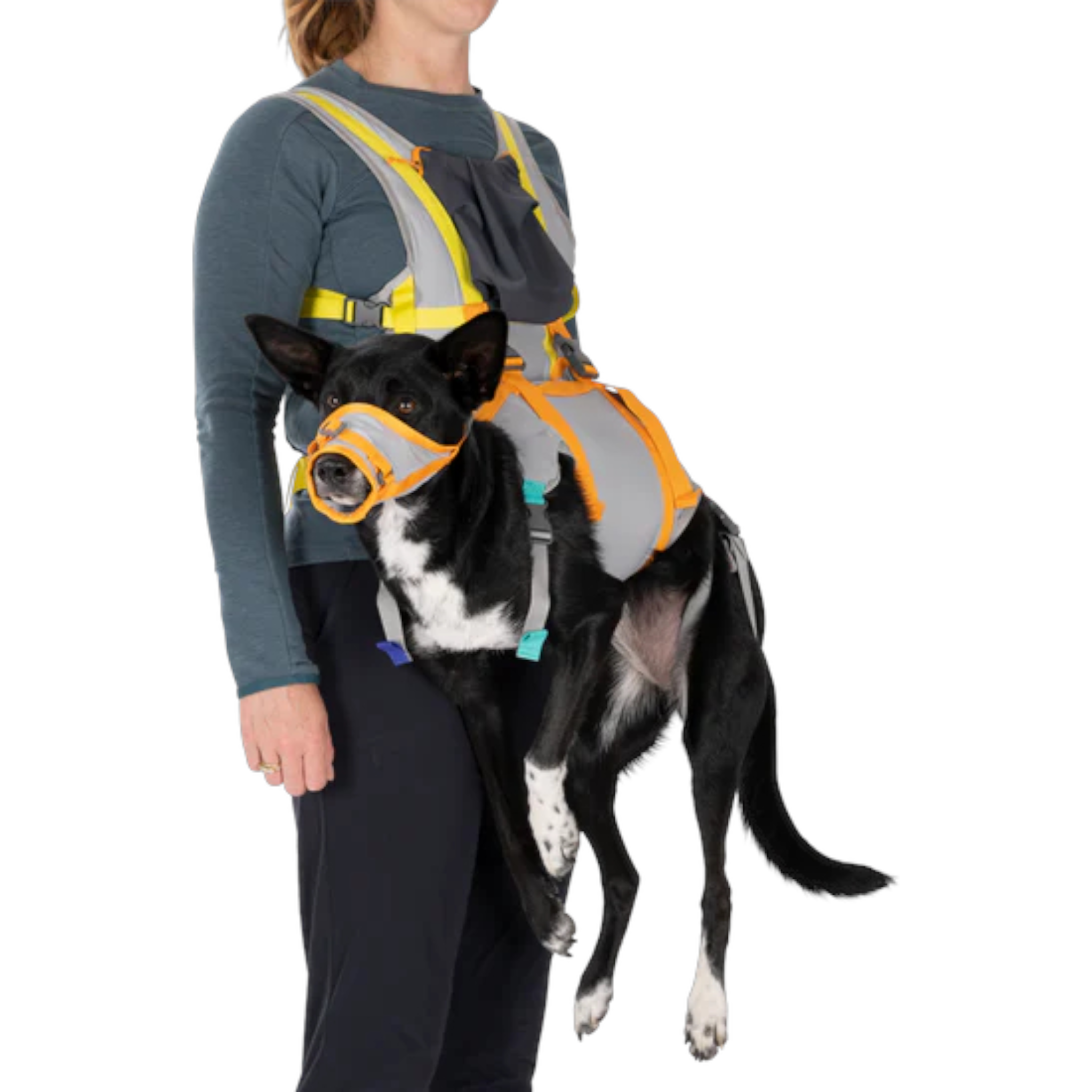 Ruffwear BackTrak Dog Evacuation Kit - FERAL