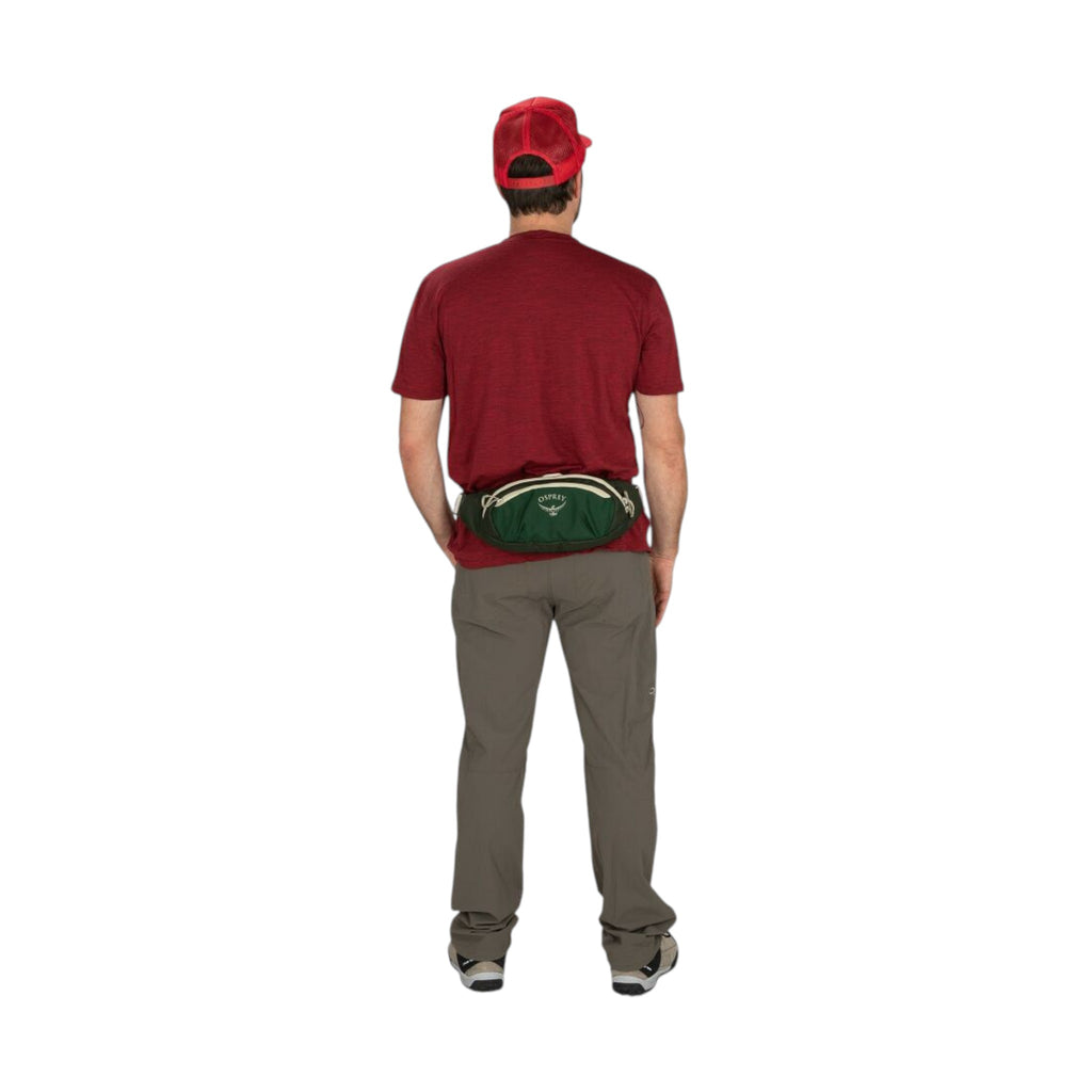 Osprey Daylite Waist Pack