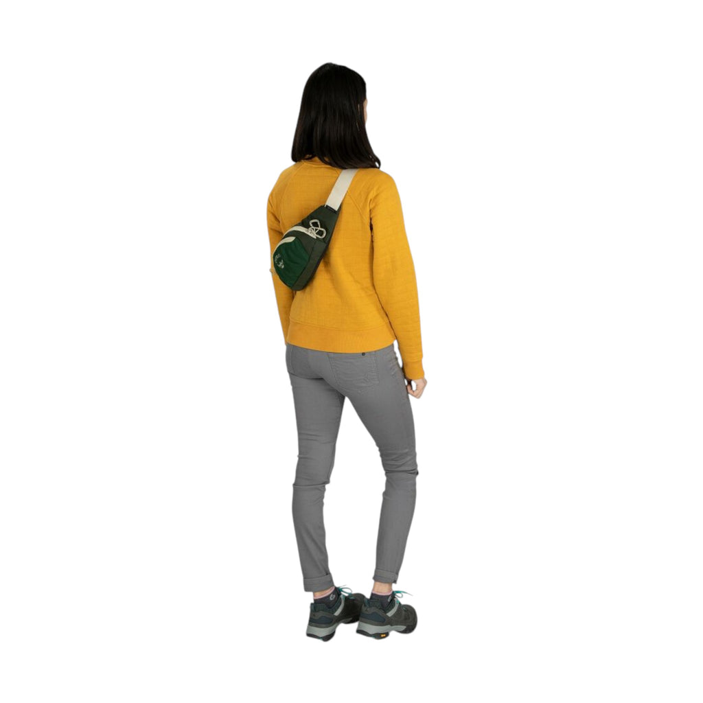 Osprey Daylite Waist Pack