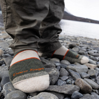 Darn Tough Men's Hiker Boot Midweight with Full Cushion Hiking Socks - FERAL