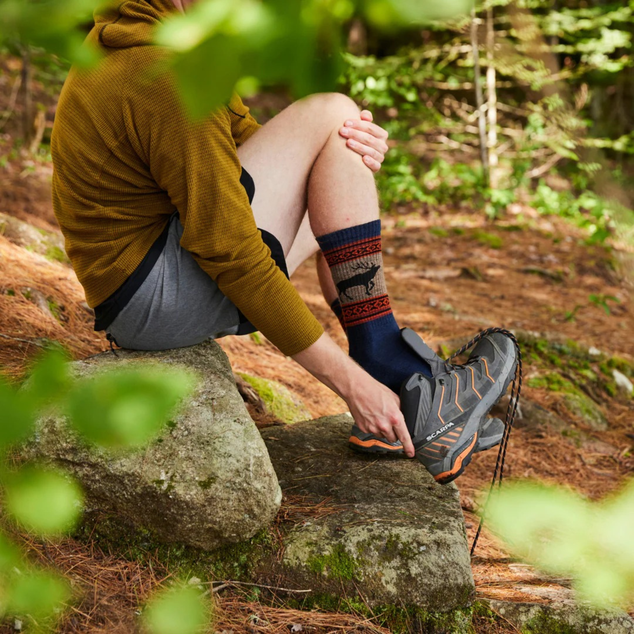 Darn Tough Men's Vangrizzle Boot Midweight with Cushion Socks - FERAL