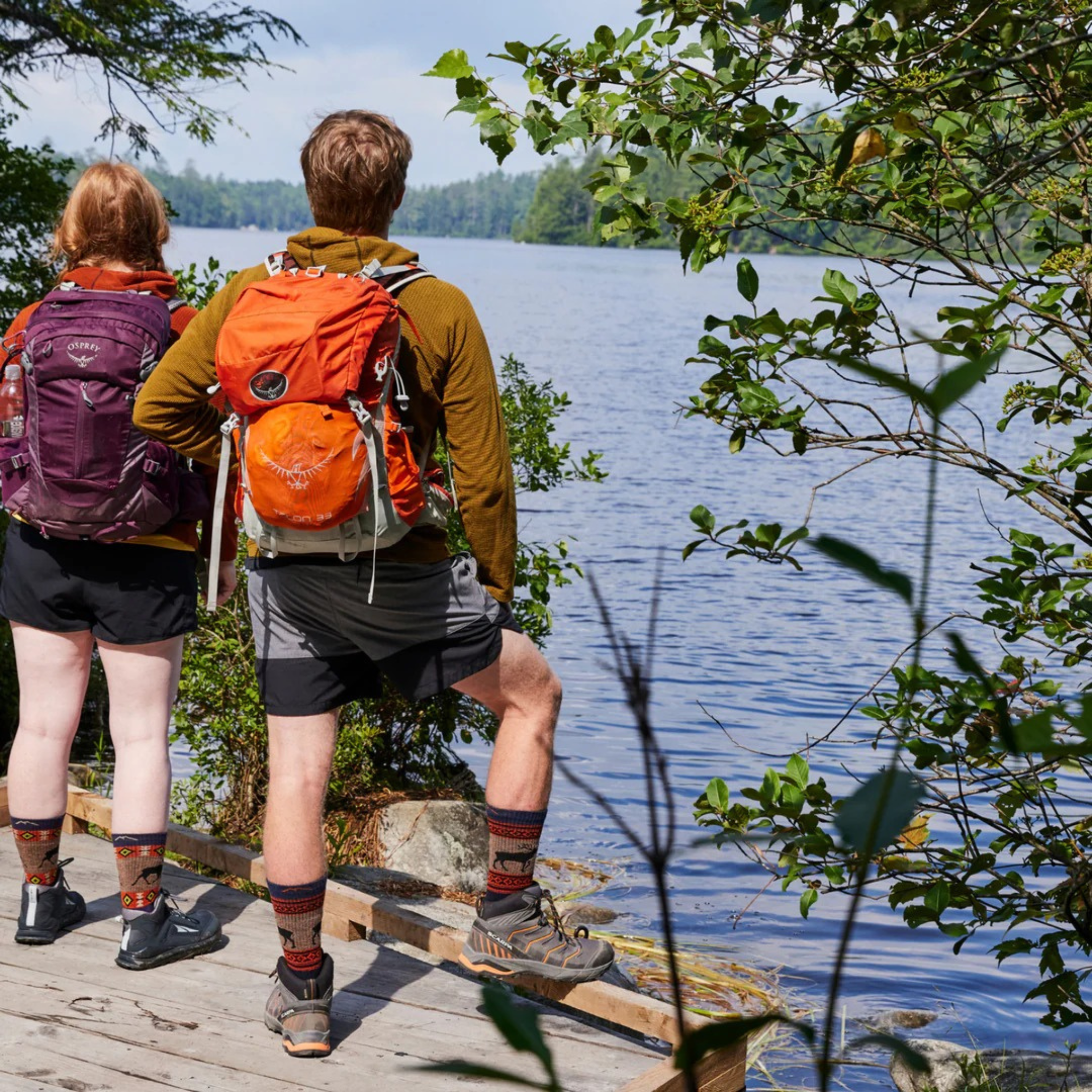 Darn Tough Men's Vangrizzle Boot Midweight with Cushion Socks - FERAL
