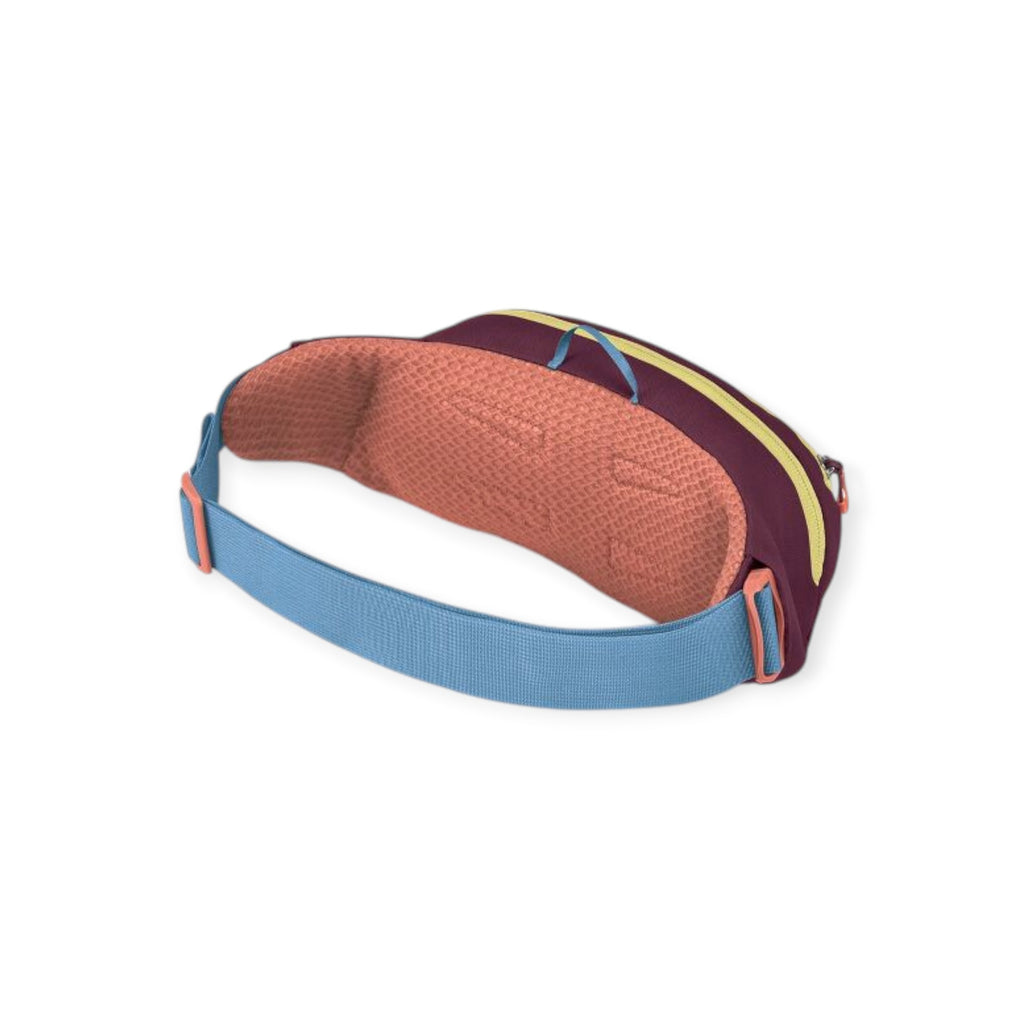 Osprey Daylite Waist Pack