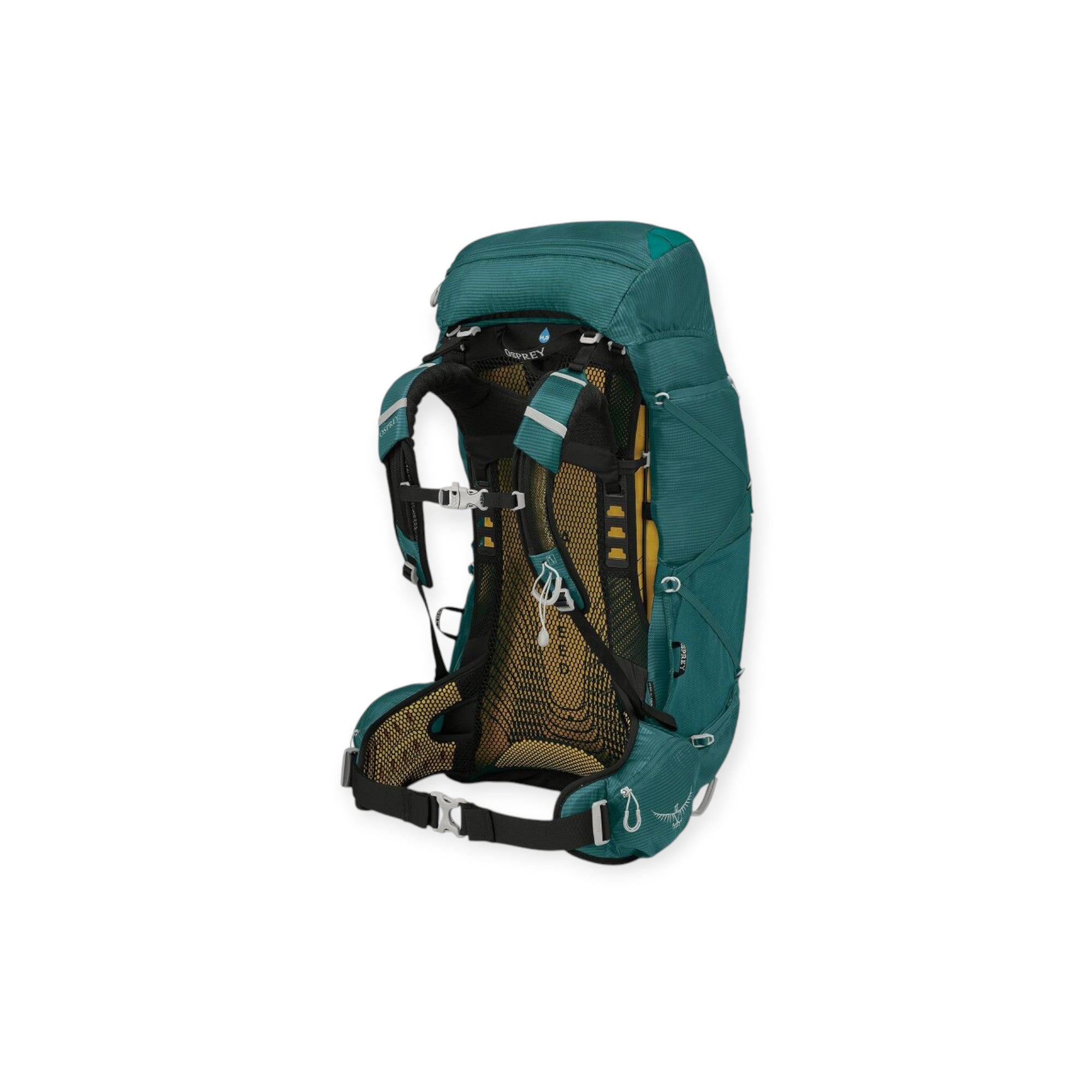 Osprey Women's Eja 58 Backpack - FERAL