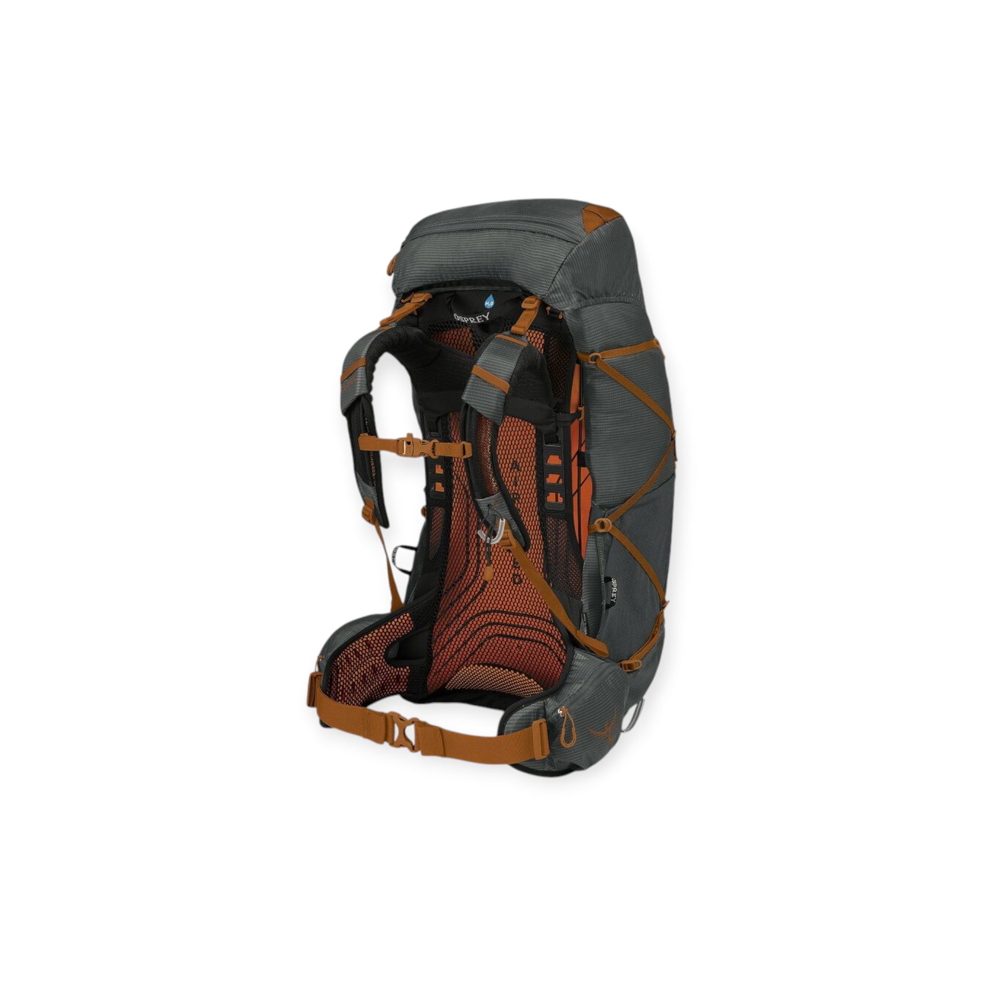 Osprey Men's Exos 58 Backpack - FERAL