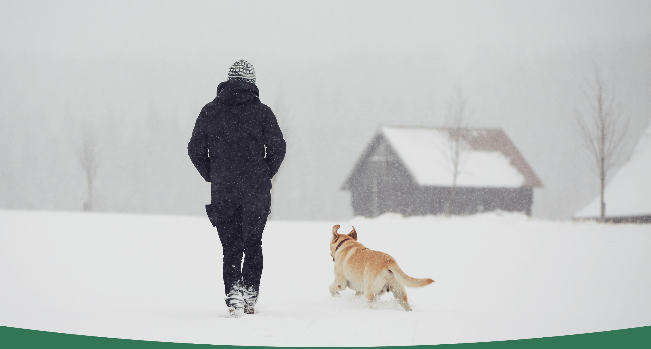 FERAL Used & New Outdoor Gear Winter