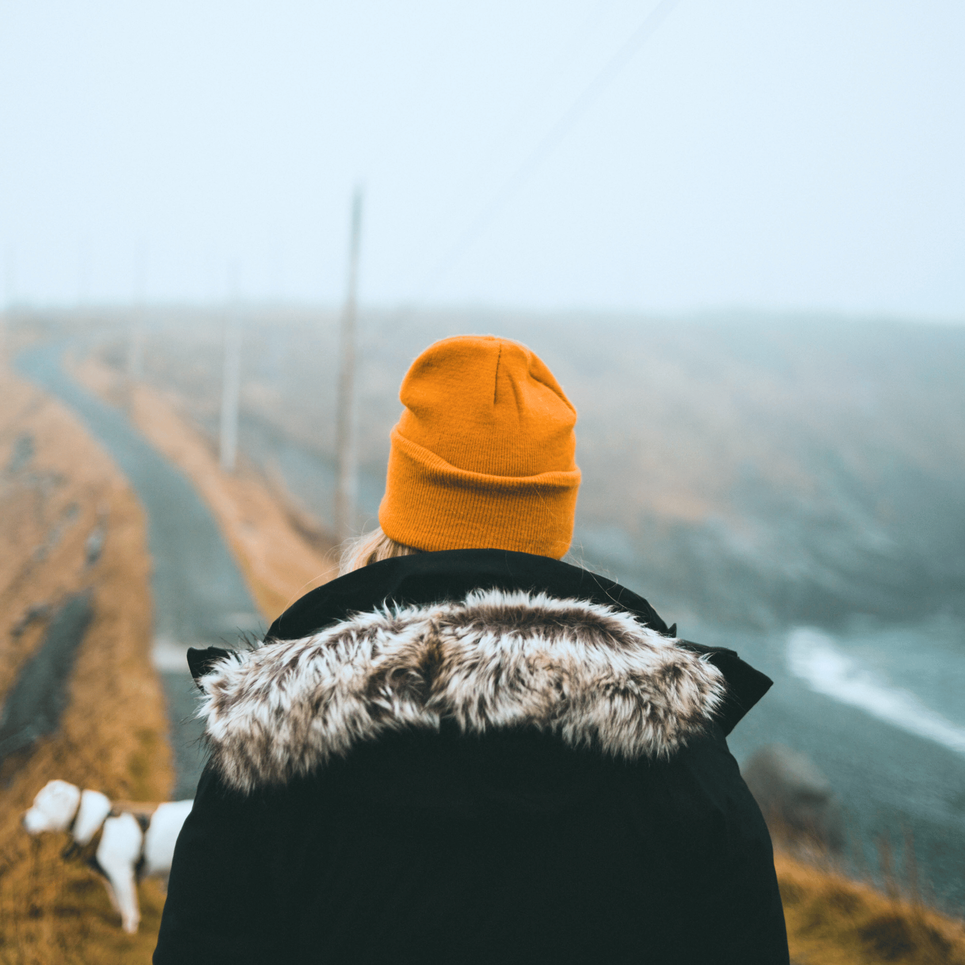 Final Deal - 2025 FERAL Holiday Calendar Spend $100, Get a Free FERAL Beanie