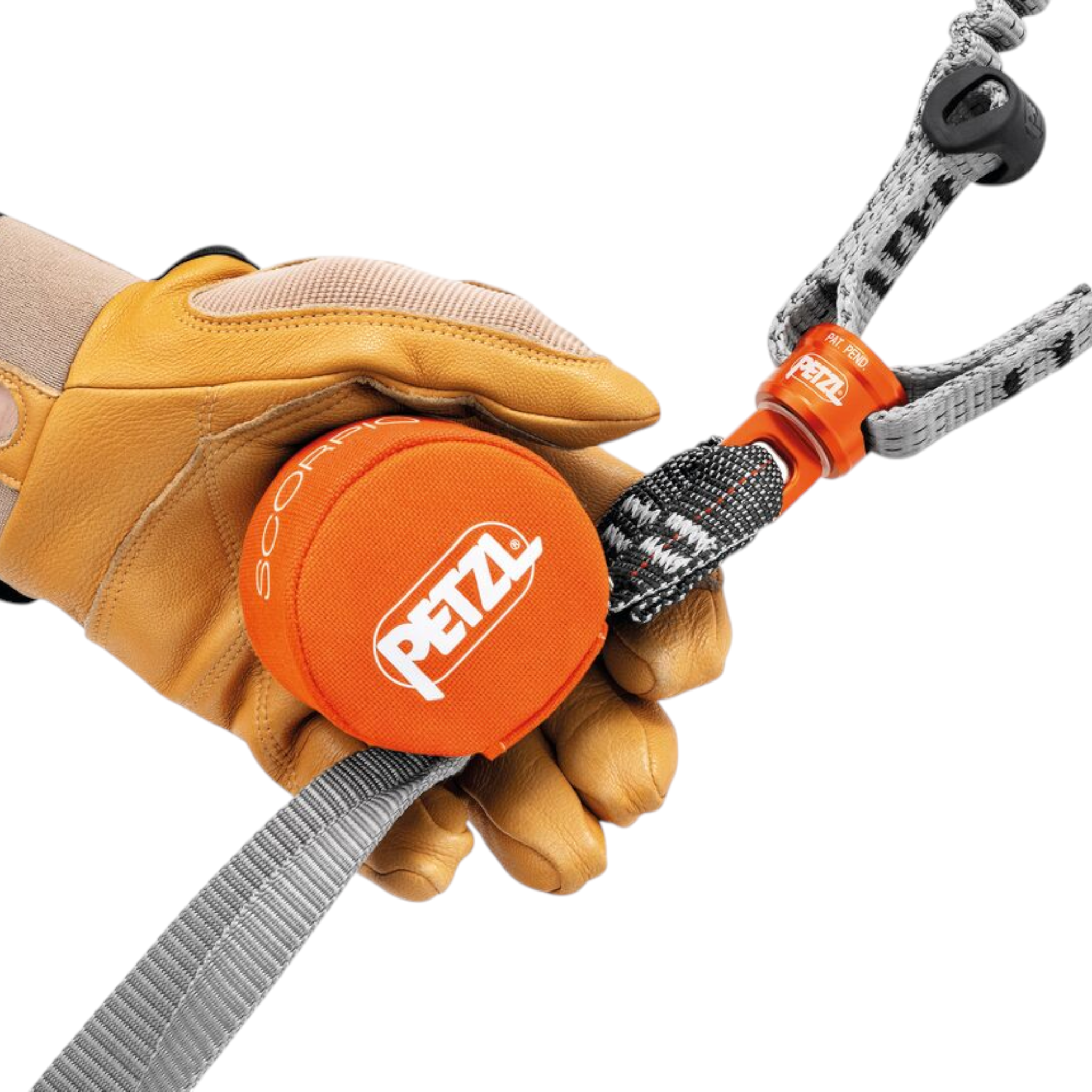 Petzl Scorpio Eashook SW Lanyard - FERAL