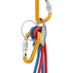 Petzl Attache Screw-Lock Carabiner - FERAL