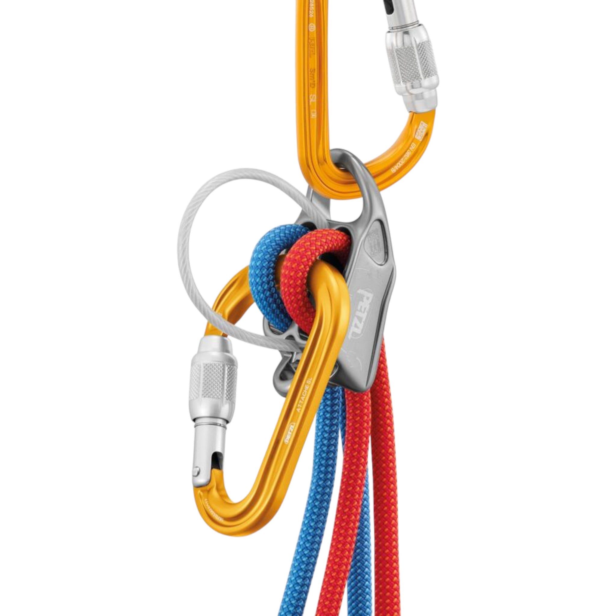 Petzl Attache Screw-Lock Carabiner - FERAL