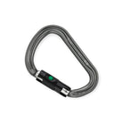 Petzl William Ball-Lock Carabiner - FERAL