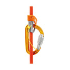 Petzl Sm'D Screw-Lock Carabiner - FERAL