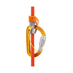 Petzl Sm'D Screw-Lock Carabiner - FERAL