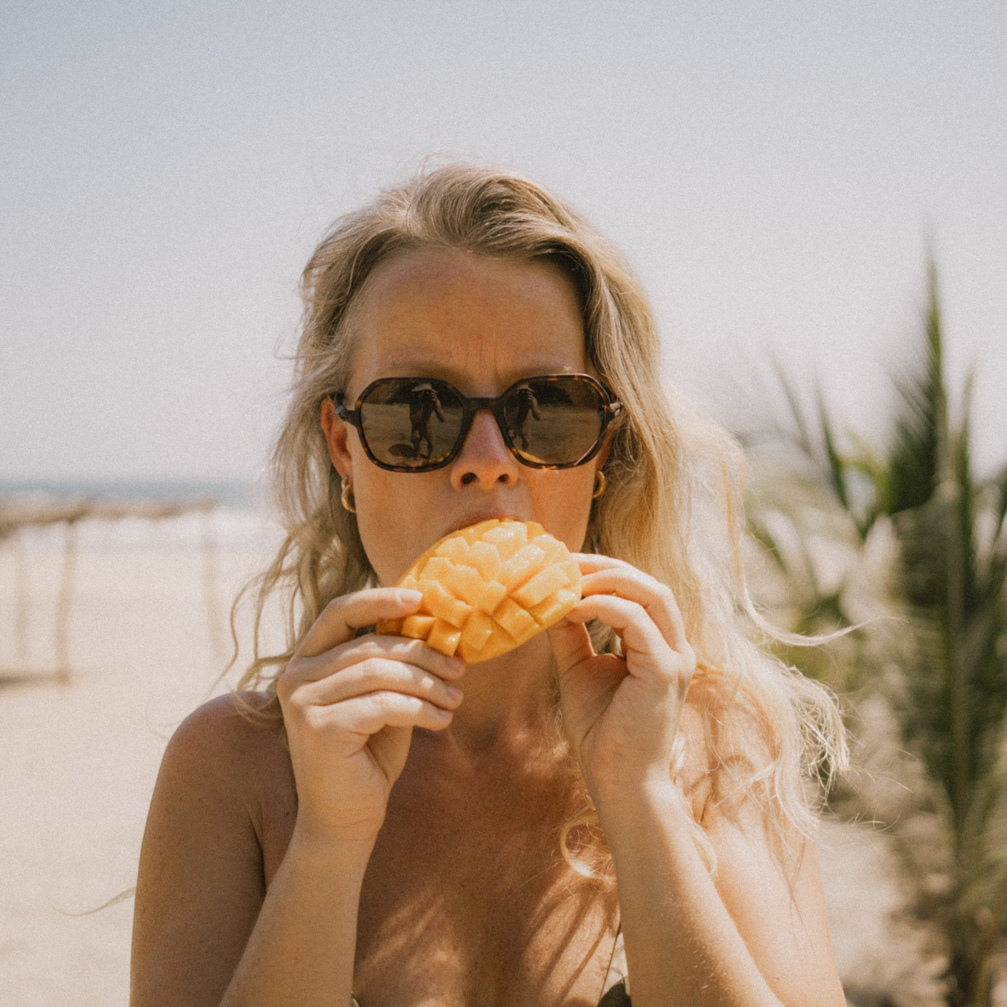 Ombraz Cammina Polarized Sunglasses - FERAL