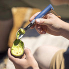 Opinel Picnic+ Inserts Set - FERAL