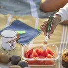 Opinel Picnic+ Inserts Set - FERAL