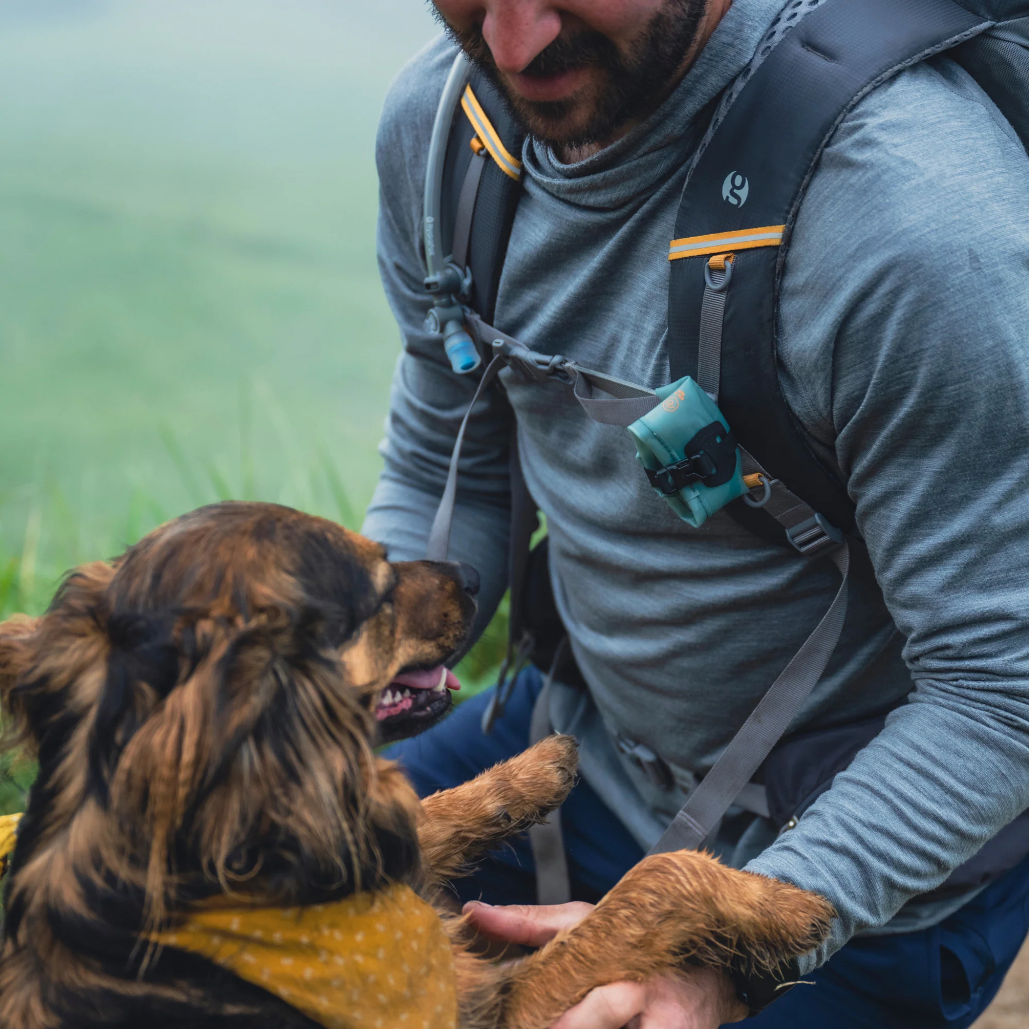HydraPak Rover Dog Bowl - FERAL