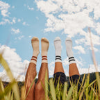 Smartwool Everyday Athletic Striped Crew Socks - FERAL