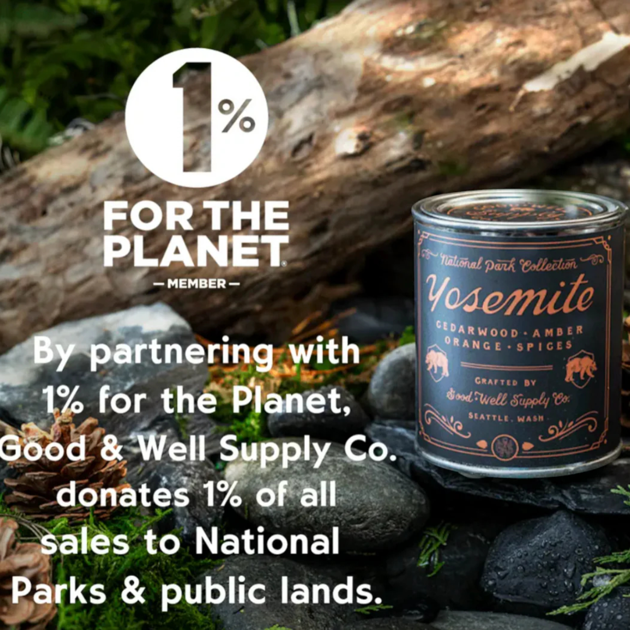 Good & Well Supply Co. Great Sand Dunes National Park Candle - 1/2 Pint - FERAL