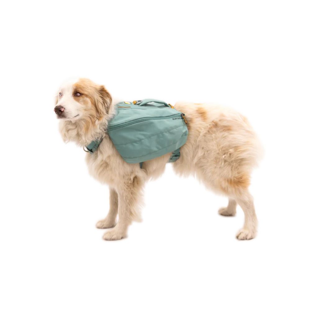 Ruffwear Front Range Dog Day Pack - FERAL