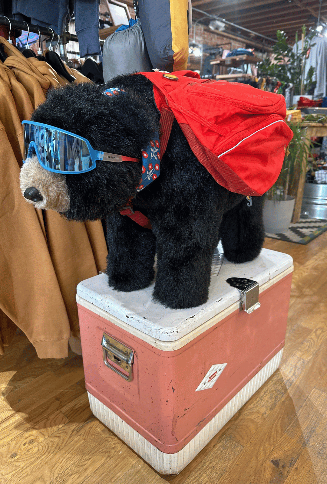 Work at FERAL - Hiking Bear Beer Cooler