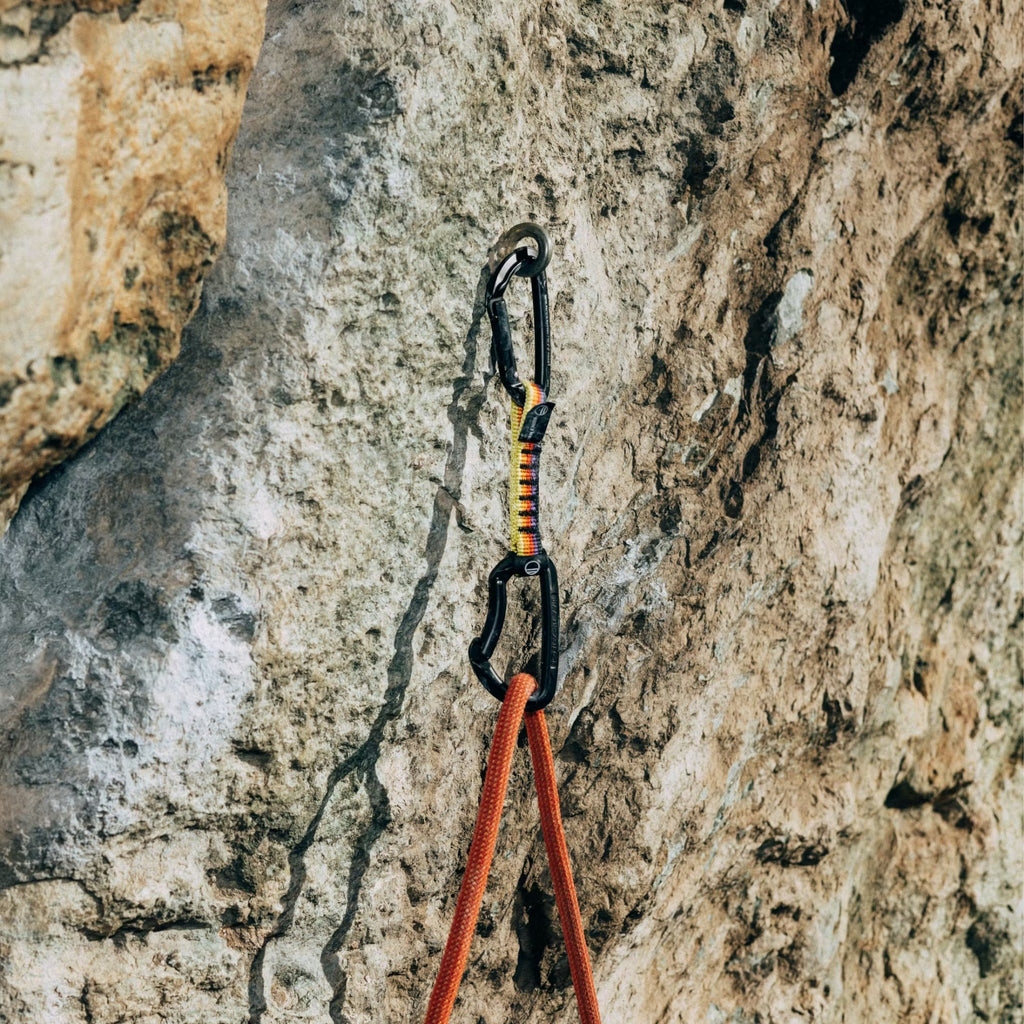 Wild Country Session Quickdraw 17cm - FERAL