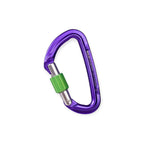Wild Country Session Screwgate Carabiner - FERAL