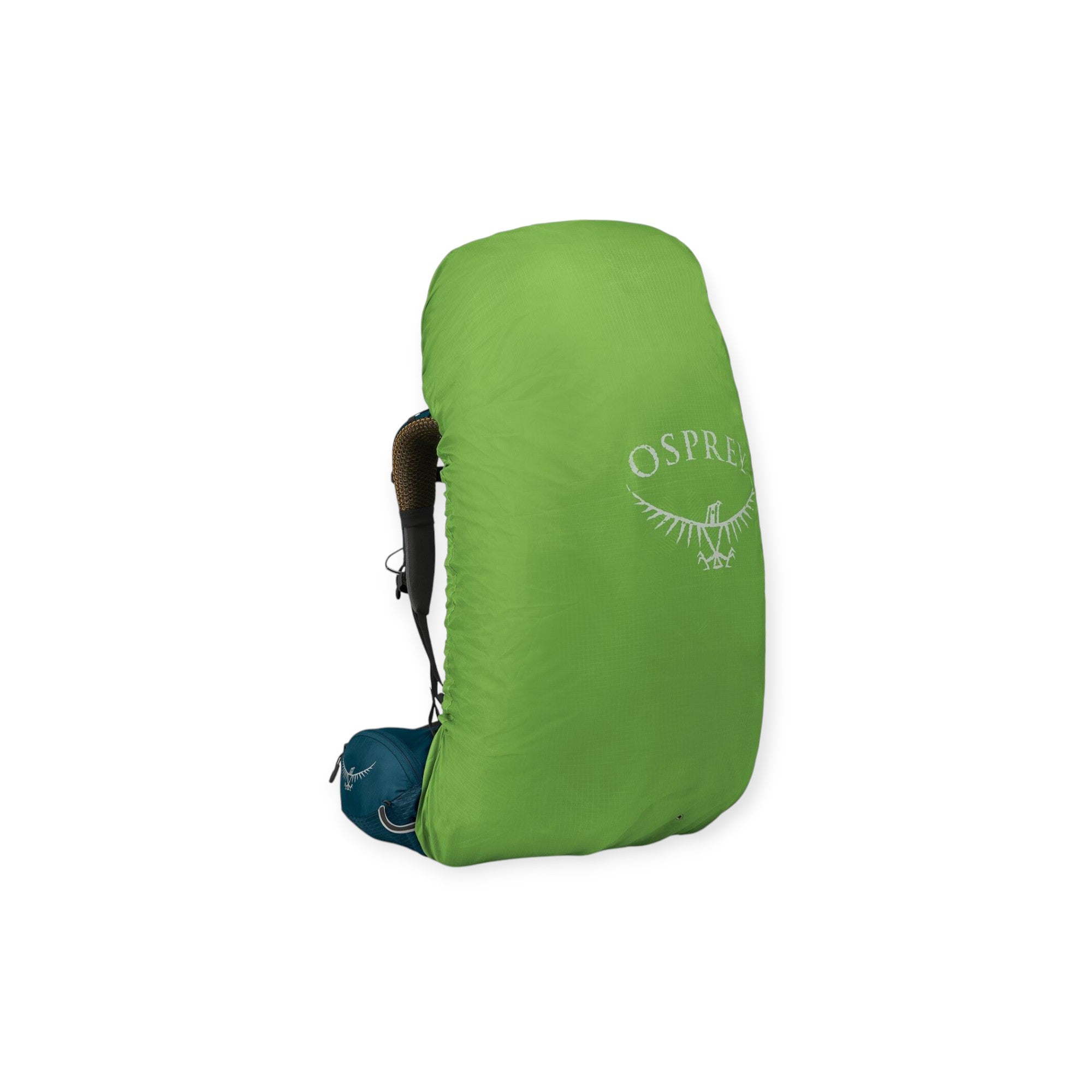 Osprey Atmos AG 65 Backpacking Pack - FERAL