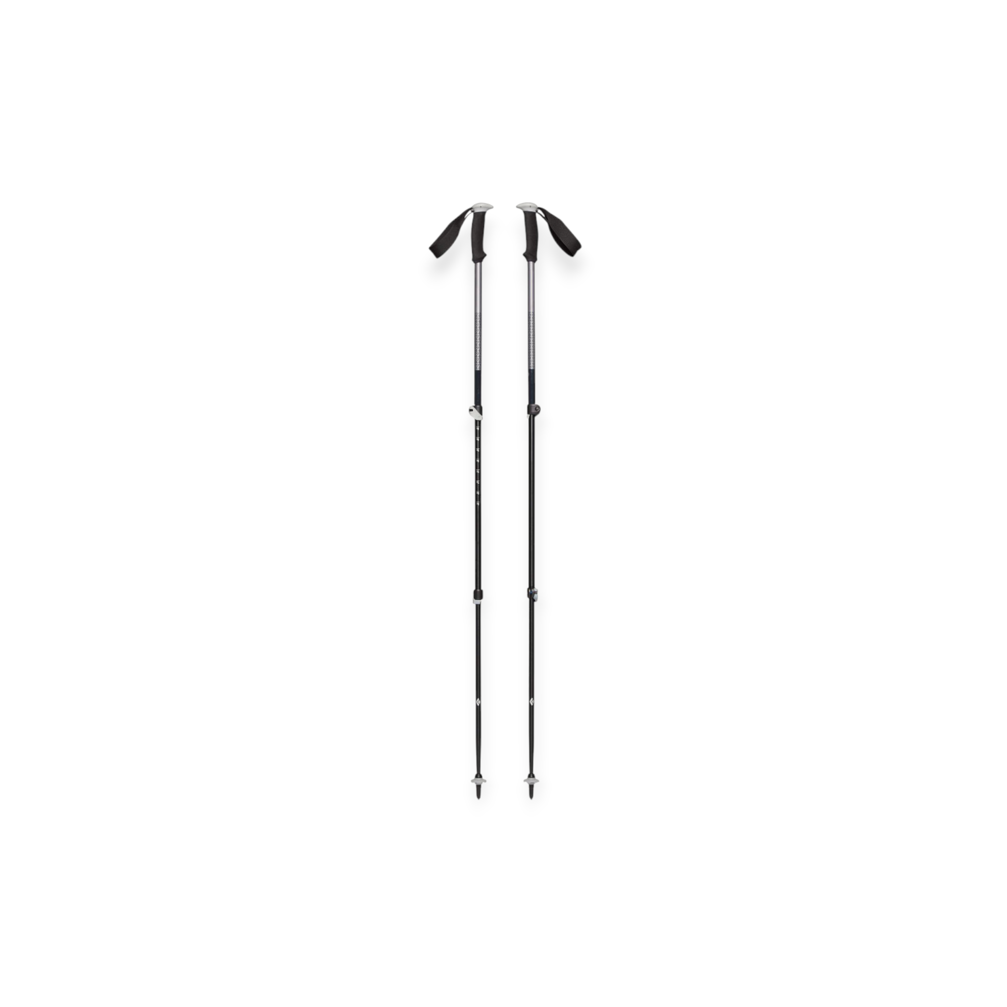 Black Diamond Trail Sport Trekking Poles - FERAL