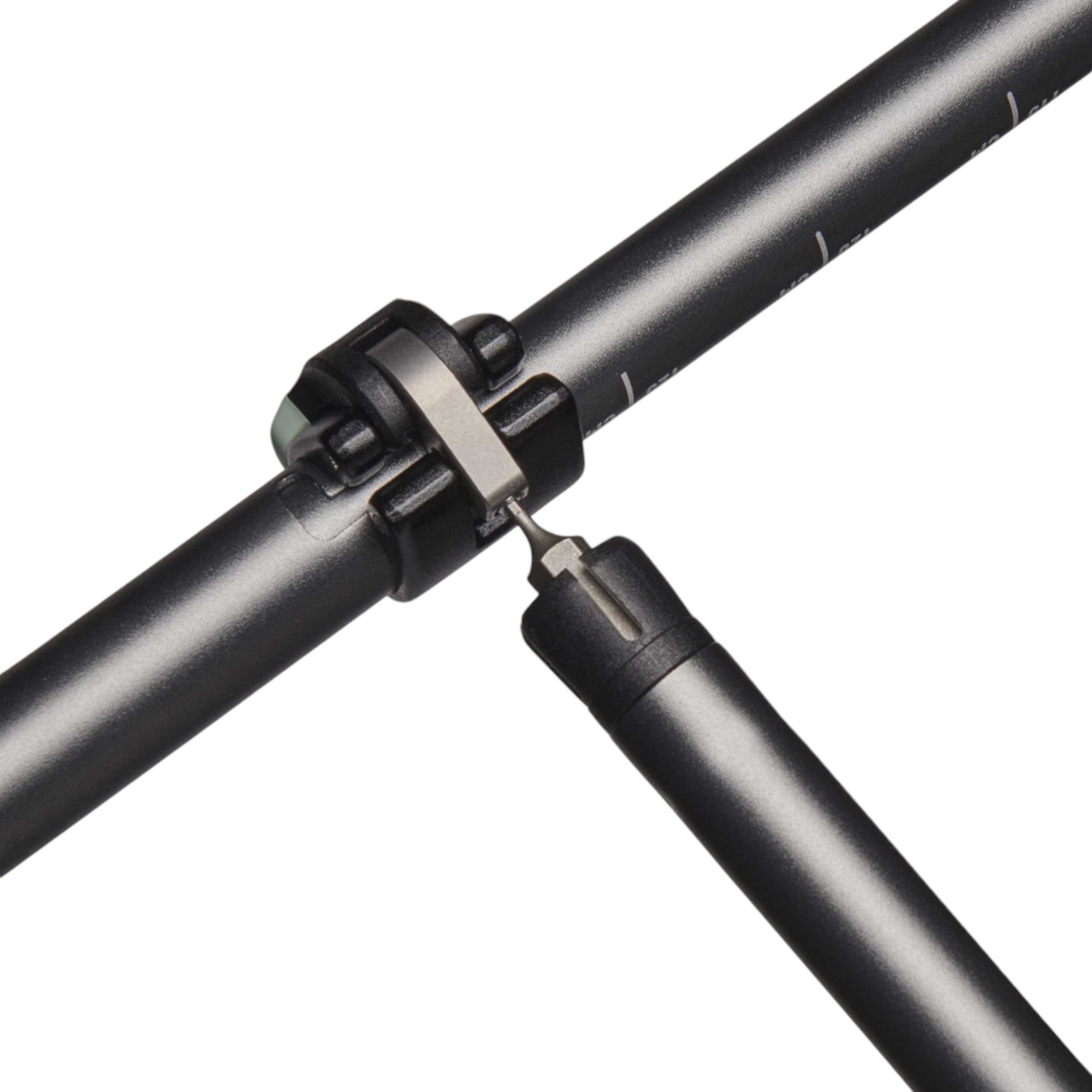 Black Diamond Pursuit Trekking Poles - FERAL