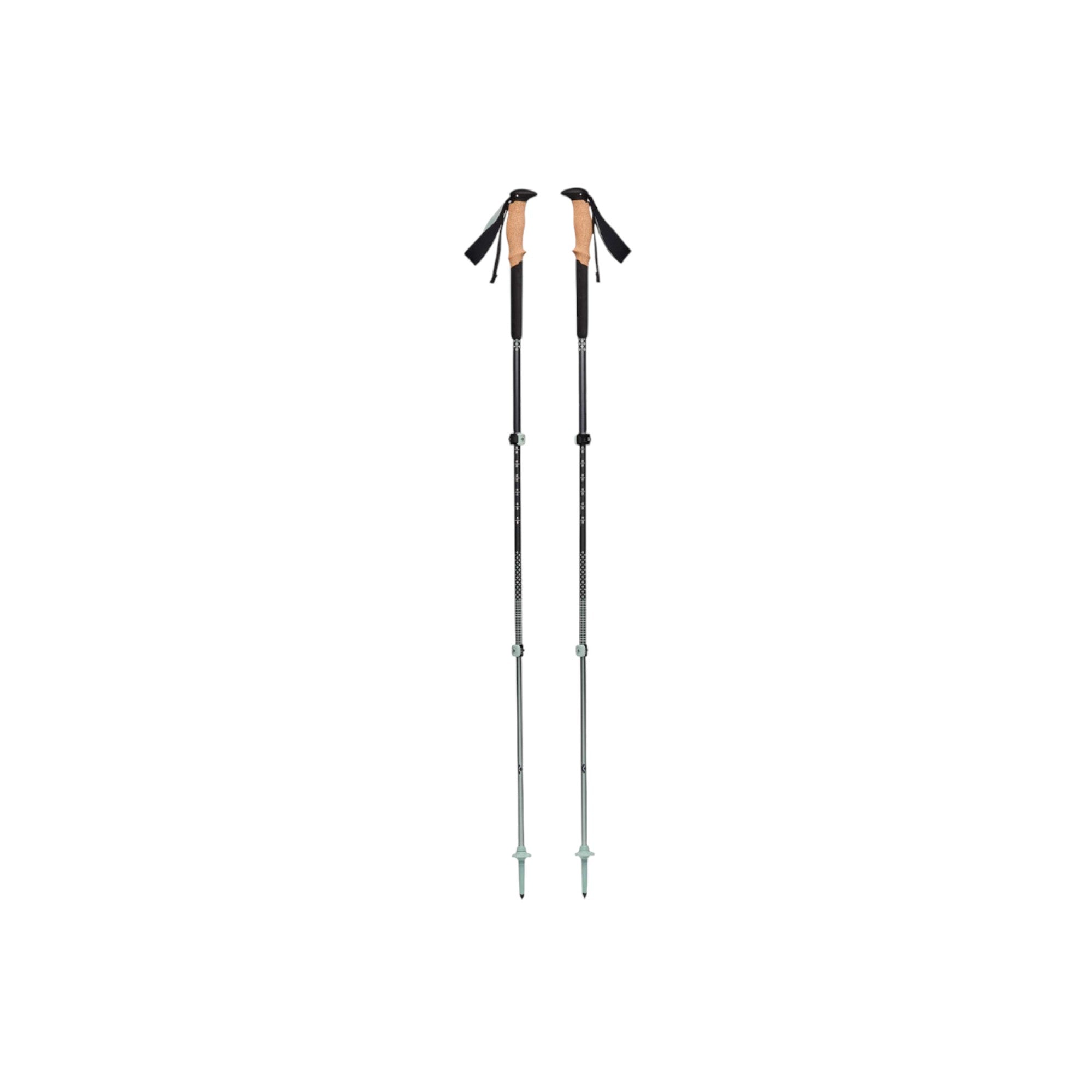 Black Diamond Pursuit Trekking Poles - FERAL