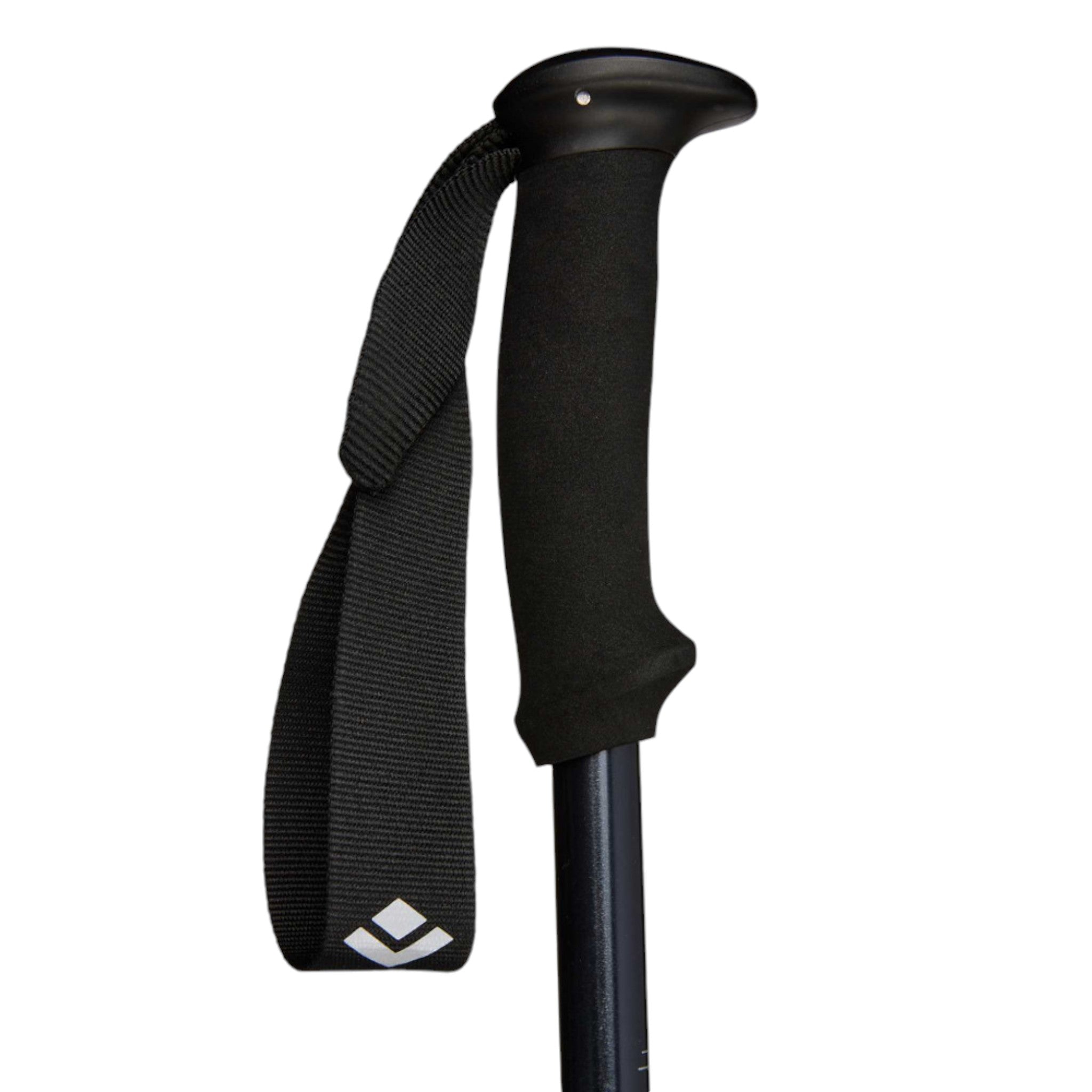 Black Diamond Explorer 2 Trekking Poles - FERAL