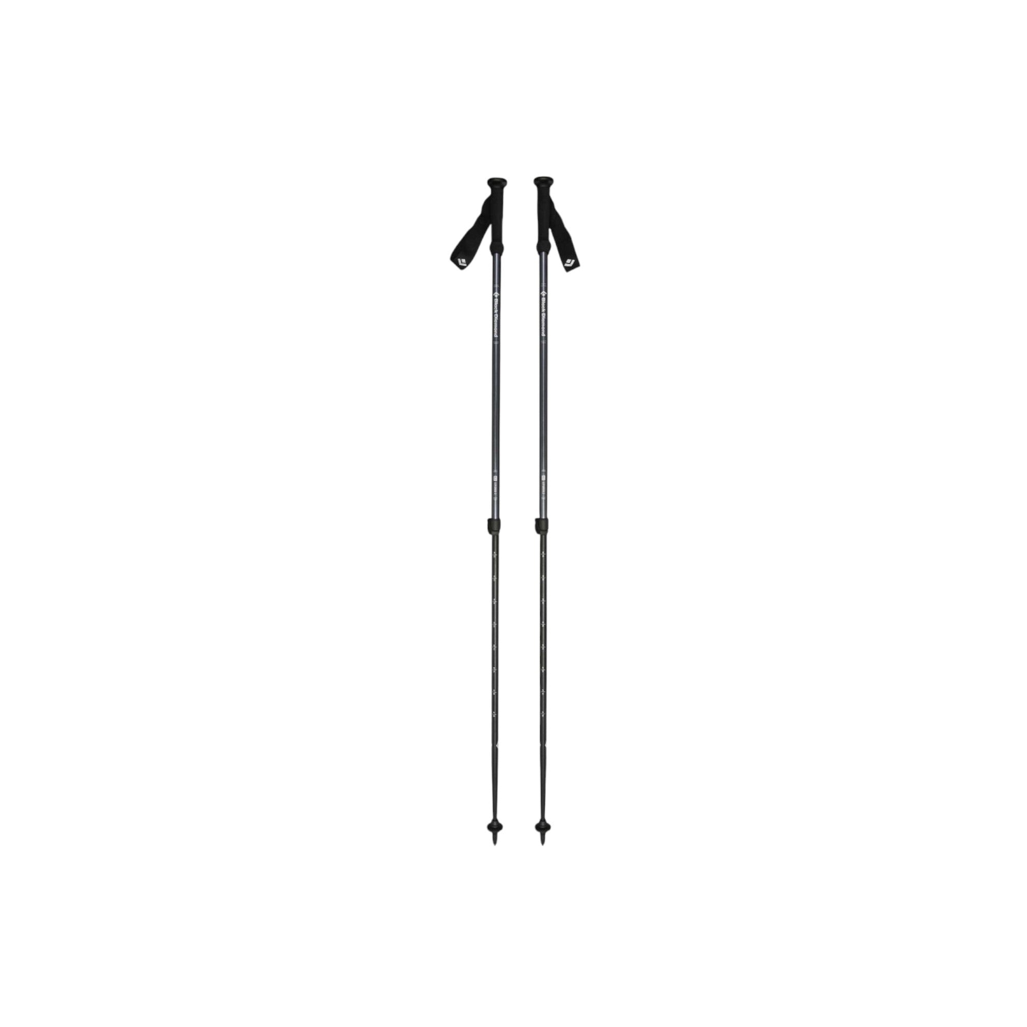 Black Diamond Explorer 2 Trekking Poles - FERAL