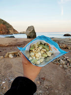 Bushka's Kitchen Citrus Chia Morning Bowl